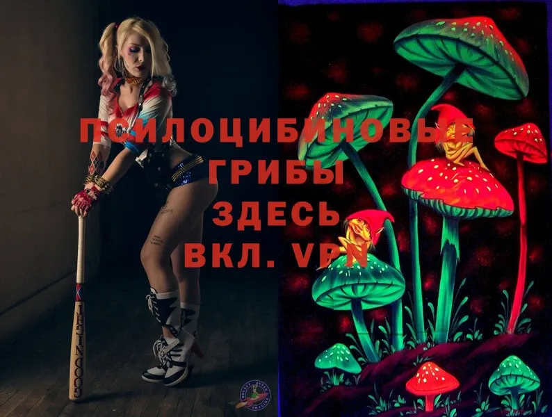 Псилоцибиновые грибы Magic Shrooms  что такое наркотик  Козловка 